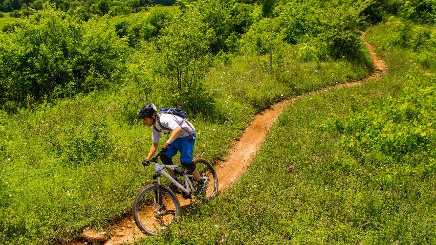 Trail Mountain Bike | Pauls Cycles