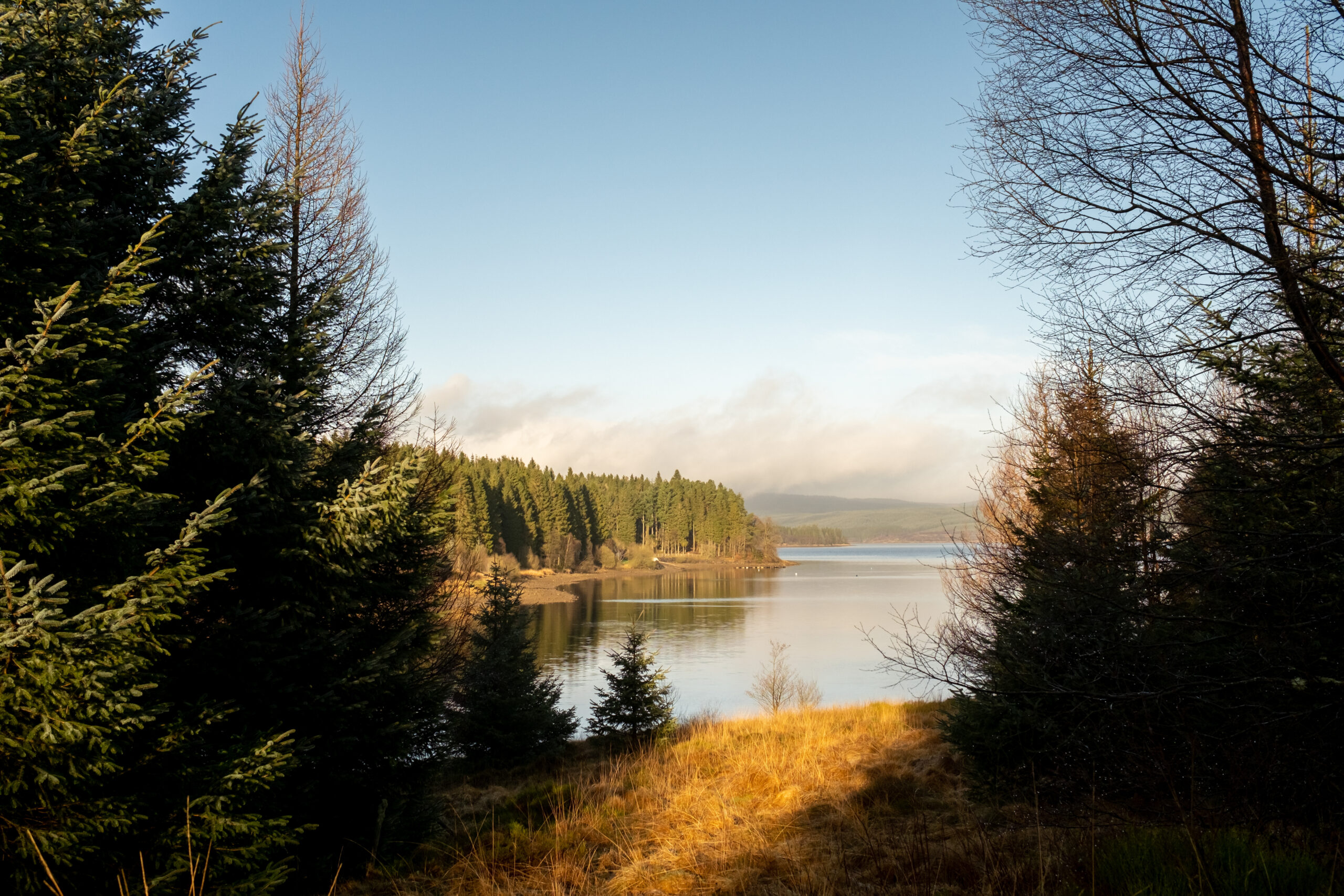 Kielder Forest Park, Northumberland | Top UK Mountain Biking Spots | Pauls Cycles