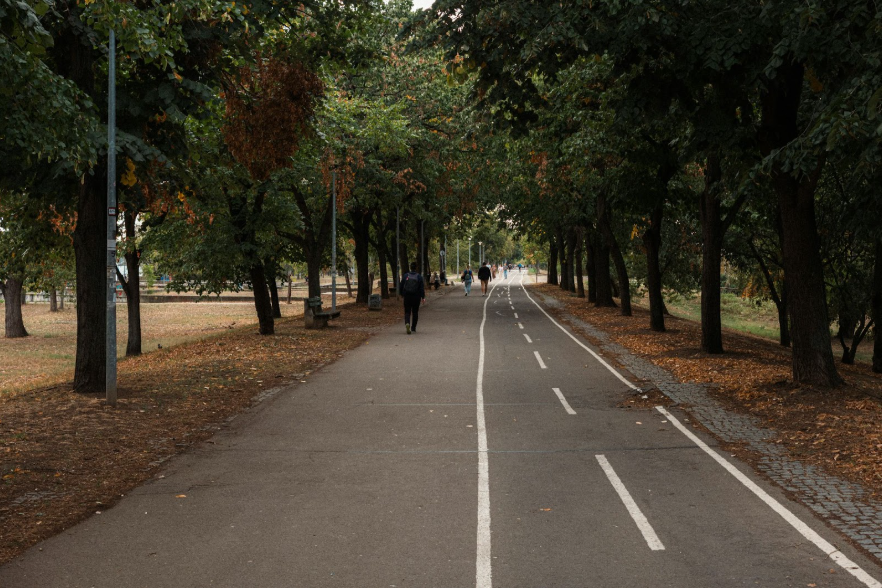 Travel route going through the middle of a green area. The left side of the route is being used by pedestrians, while the right side is an empty cycle lane. The route is surrounded by trees with fallen leaves on the ground.