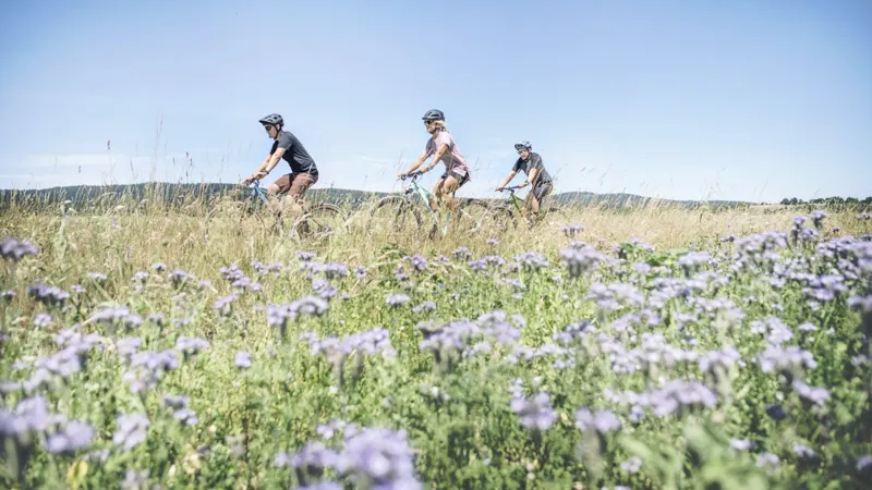 Cube Access WS Womens Hardtail Mountain Bike 2024 Airy Green/Mint-6