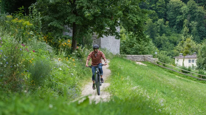 Cube Reaction Hybrid Performance 625 Electric MTB 2024 Swamp Grey-5