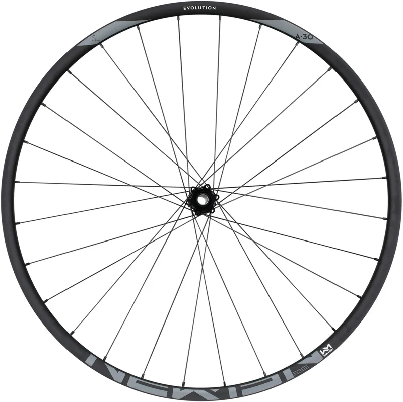 Newmen Evolution SL A.30 29 15x110 Front Wheel-1