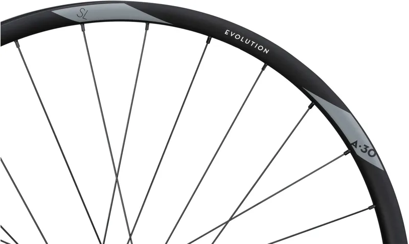 Newmen Evolution SL A.30 29 MicroSpline 12x148 Rear Wheel-3