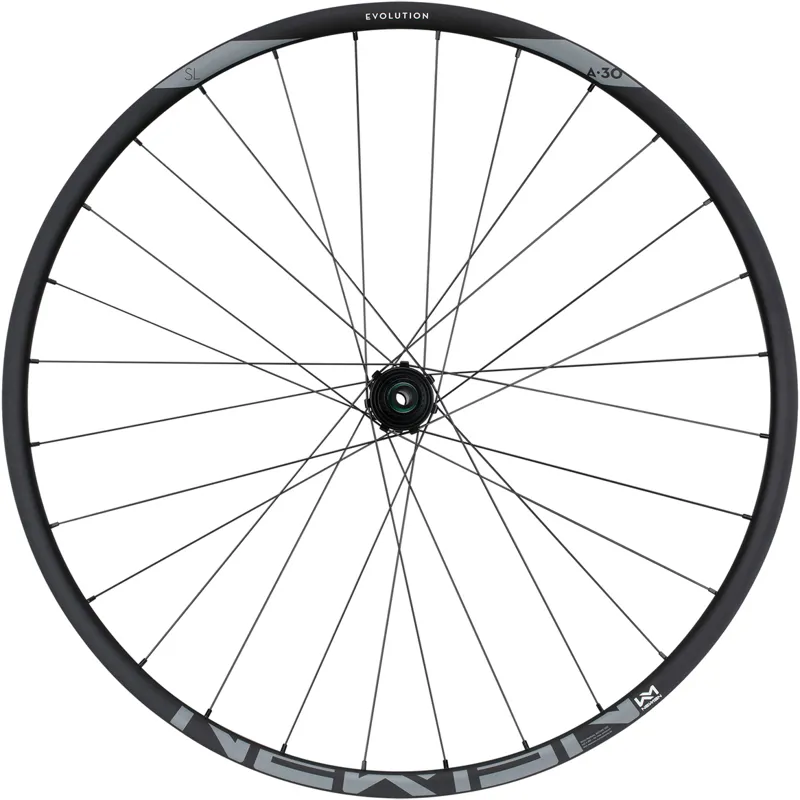 Newmen Evolution SL A.30 29 MicroSpline 12x148 Rear Wheel-1