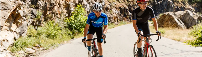 giant bicycles bike brands
