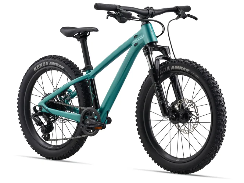 Giant STP 20 FS Teal One size Kids Bike-1