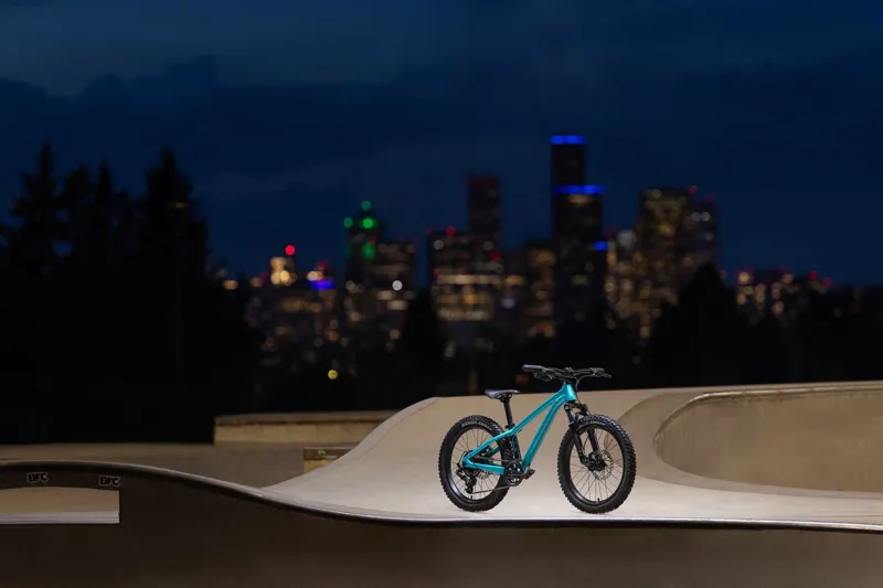 Giant STP 20 FS Teal One size Kids Bike-6