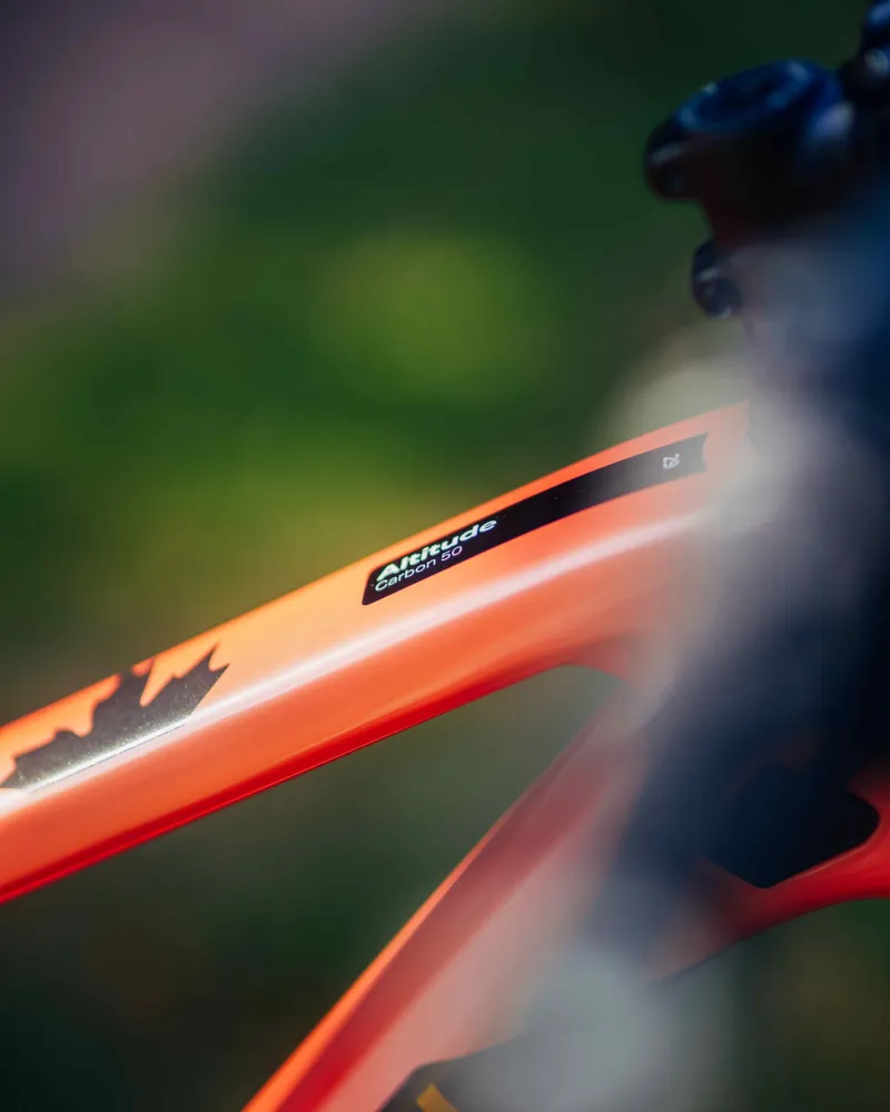 Rocky Mountain Altitude C50 Enduro Mountain Bike Grey/Pink-3