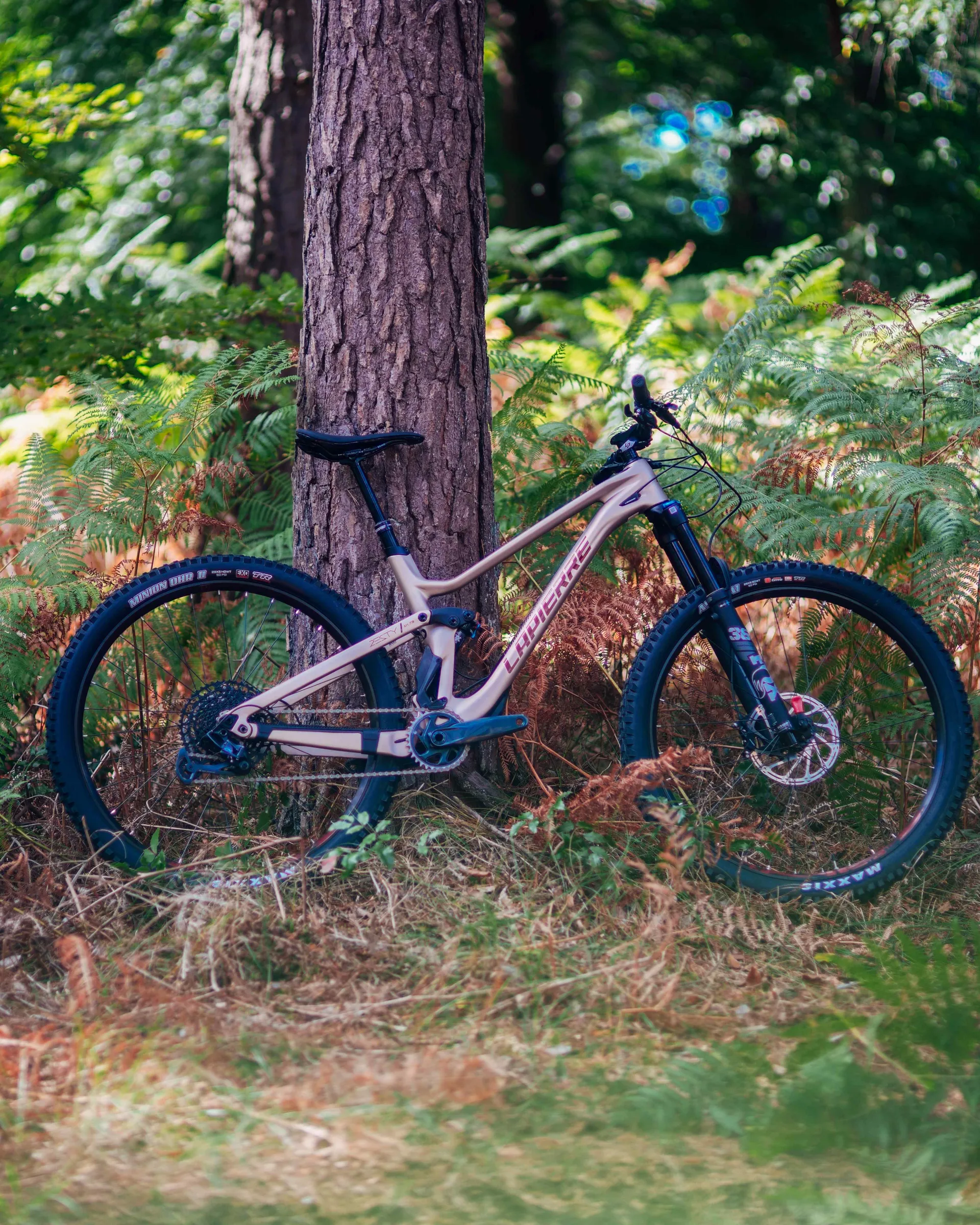 Lapierre Zesty AM CF Full Suspension Mountain Bike Beige