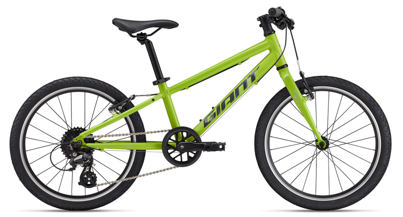 Giant ARX 20 Kids Bike 2026 Lime Punch