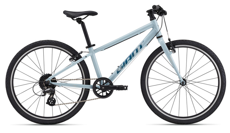 Giant ARX 24 Kids Bike 2026 Soap Suds 