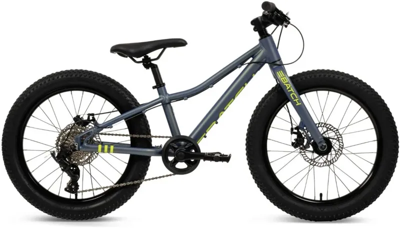 Batch 20 Inch Kids Mountain Bike in Chameleon