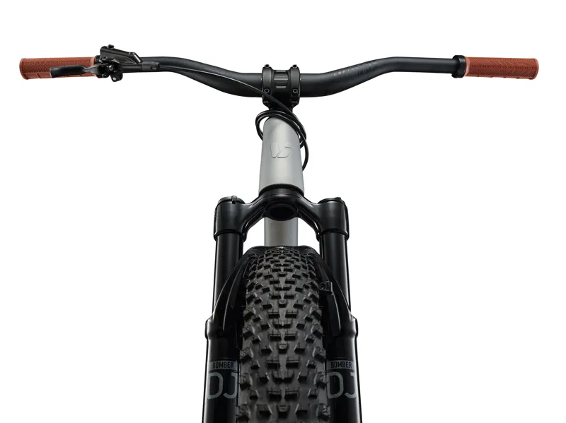 Liv STP 26 Mountain Bike 2026 Quicksilver-5