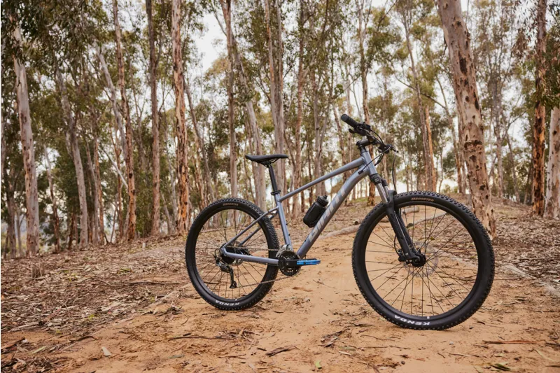 Giant Talon 2 29 Hardtail Mountain Bike Knight Shield-2