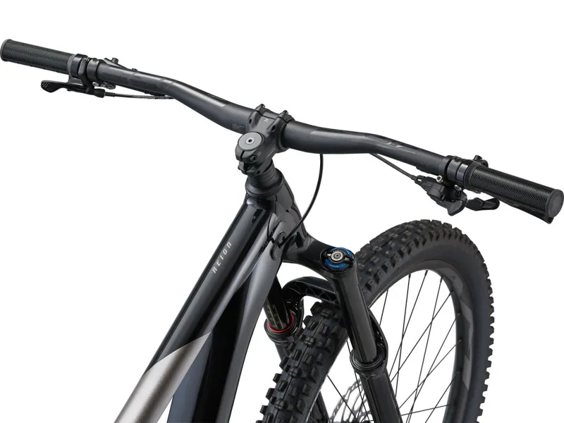Giant Reign 2 Enduro Mountain Bike Black/Metal-2