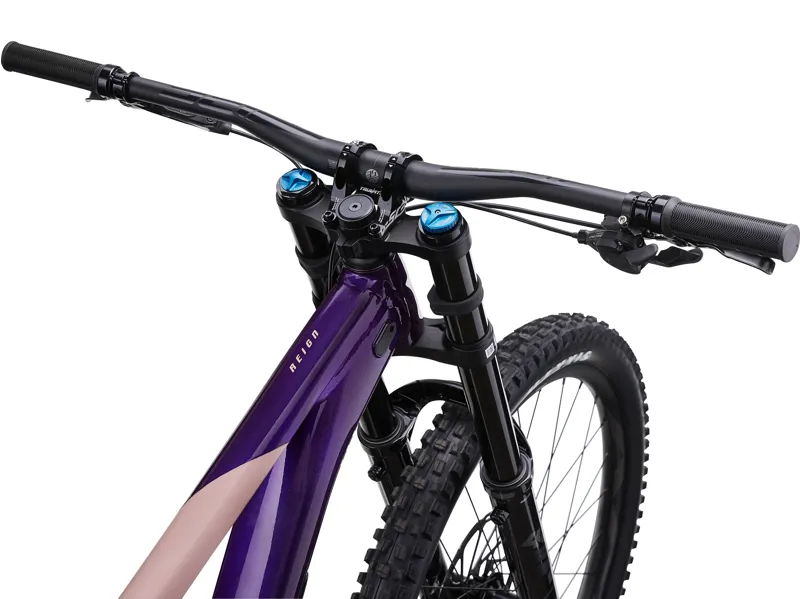 Giant Reign SX Enduro Mountain Bike Purple/Petra Clay-3