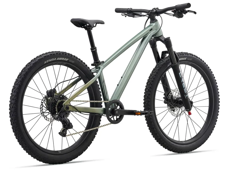 Liv STP 24 Kids Mountain Bike Alpine Green-1