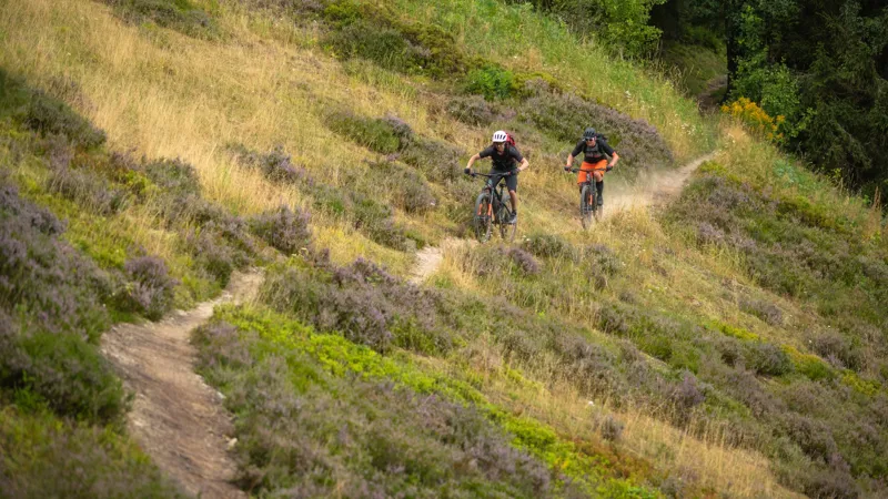 Cube Stereo Hybrid 140 HPC Pro 750 Electric Bike 2024 Vivid/Sun-5