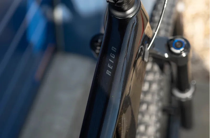 Giant Reign Advanced Pro 29 2 Enduro Mountain Bike Panther-3