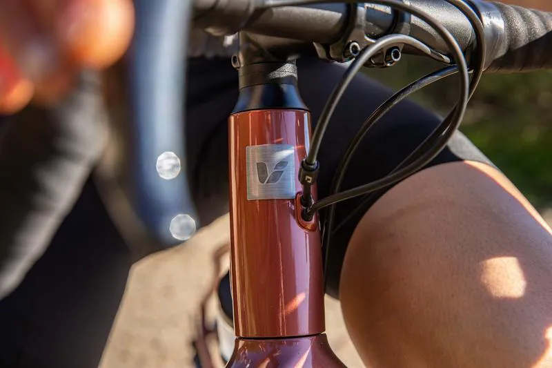 Liv Devote 2 Womens Gravel Adventure Bike Terracotta Red-4