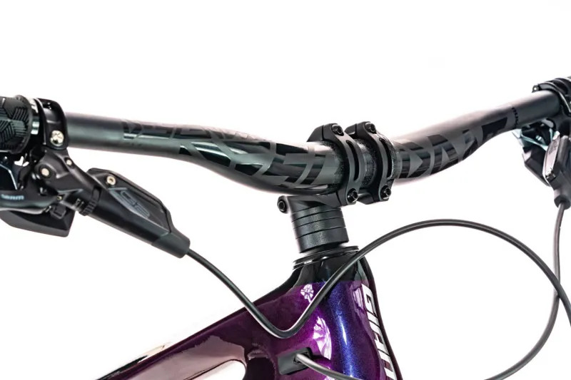 Giant Trance Advanced Pro 29 0 Mountain Bike 2020 Chameleon Purple-3