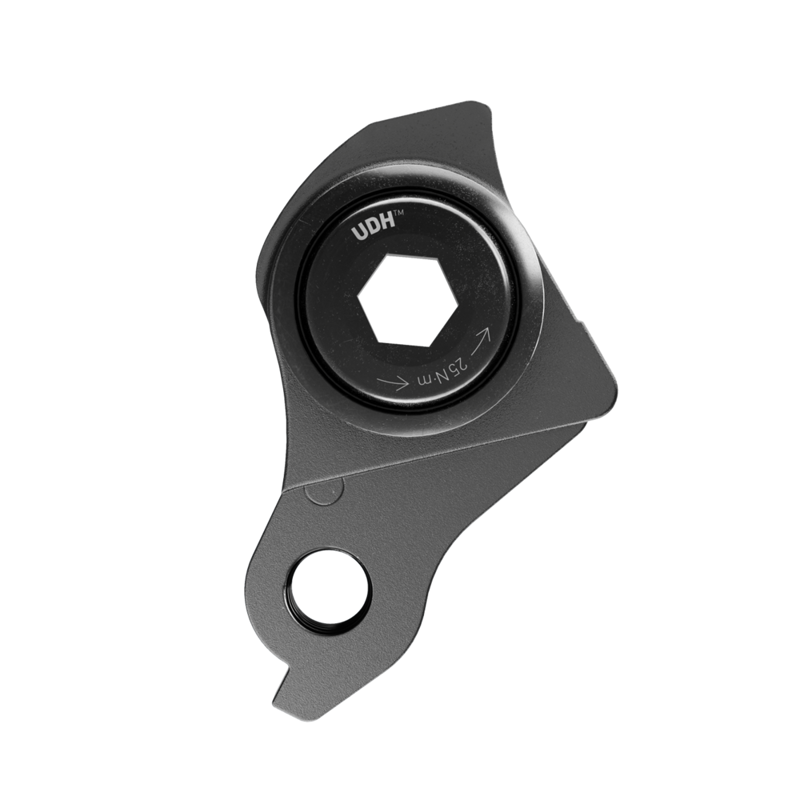 SRAM UDH Universal Derailleur Hanger-1