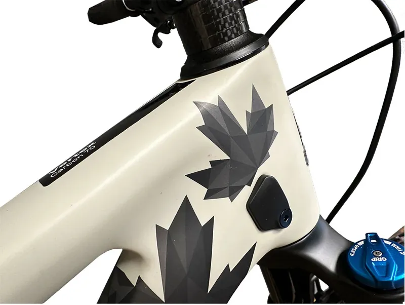 Rocky Mountain Vertex C70 Hardtail Mountain Bike Carbon/Beige-2