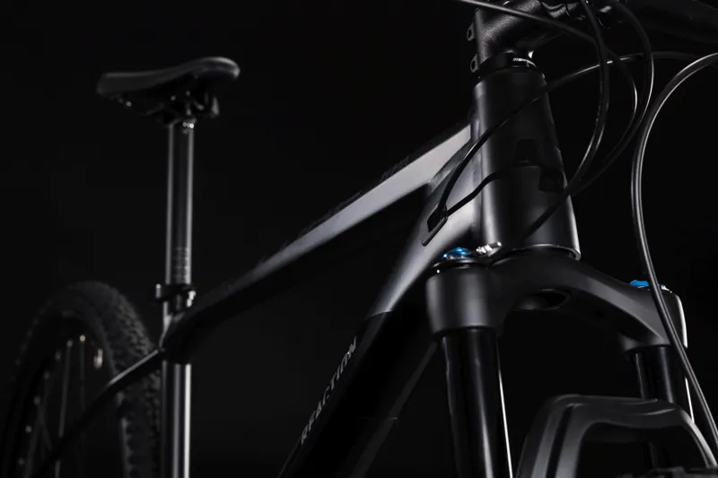 Cube Reaction SL 29er Hardtail Mountain Bike 2019 Black/Grey-3