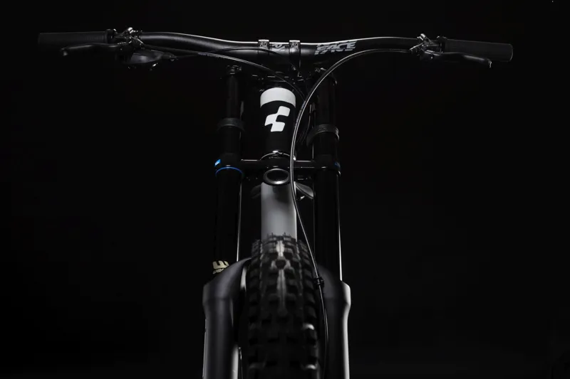 2019 Cube Two15 Race Downhill bike in Grey-1