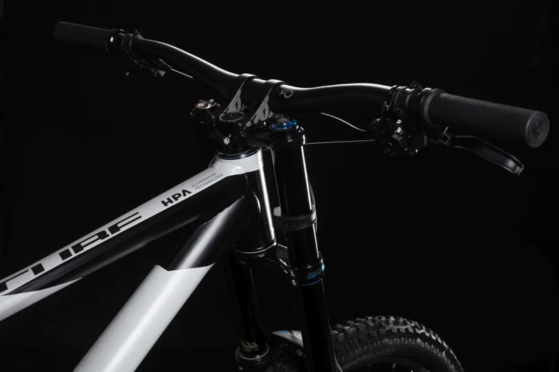 2019 Cube Two15 Race Downhill bike in Grey-3