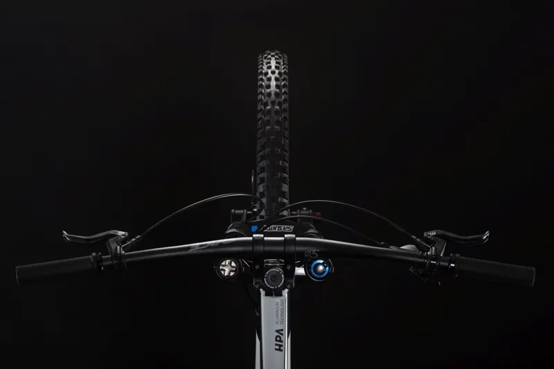 2019 Cube Two15 Race Downhill bike in Grey-5