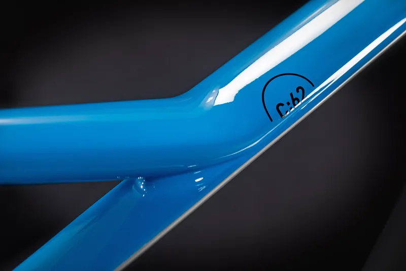 Cube Stereo 150 C:62 SL 29 Enduro Mountain Bike 2021 Action Team-2