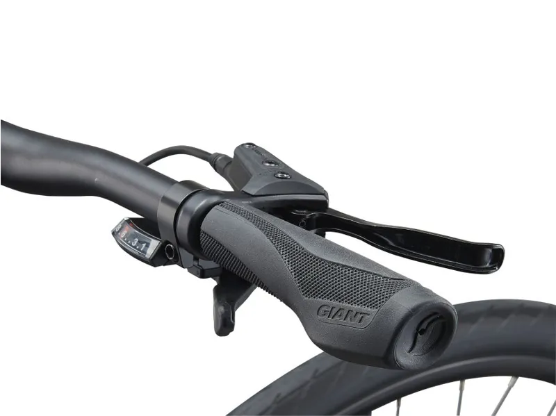 Giant Escape 2 Disc Hybrid Bike Garnet Red-2