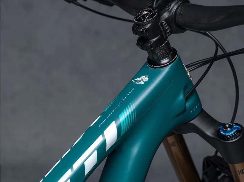 DYEDbro Clear Matt Black Frame Protection Kit