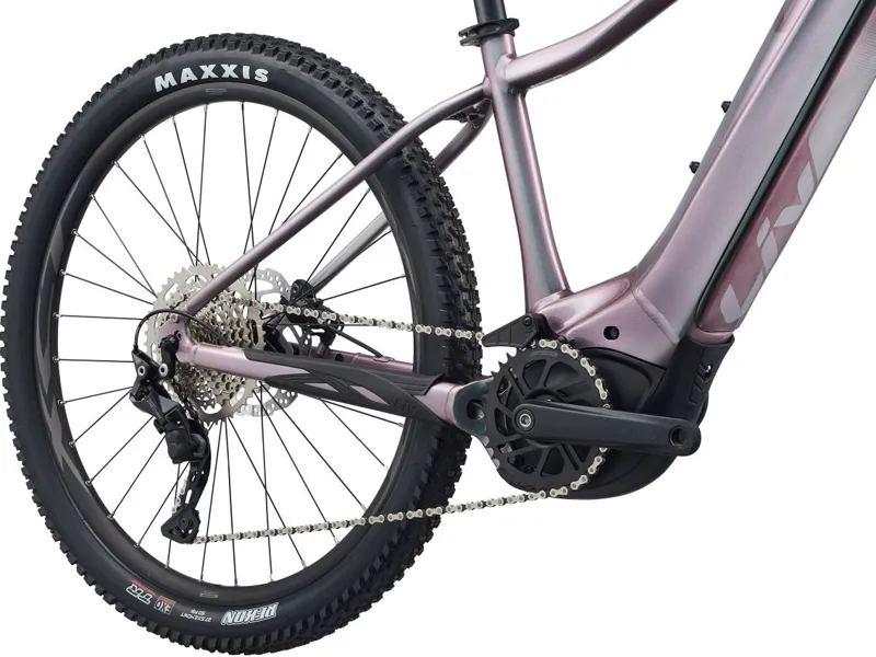Liv Vall E+ 2 Electric Mountain Bike 2022  Echeveria-1
