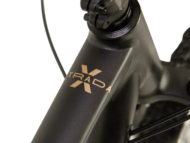 Raleigh Strada X Hybrid Mountain Bike Black/Gold-8