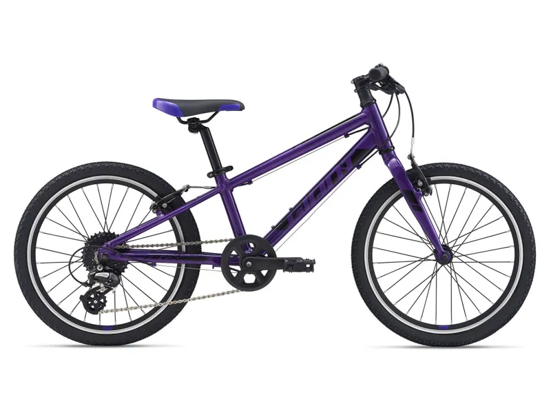 Giant ARX 20 Kids Bike 2021 Purple