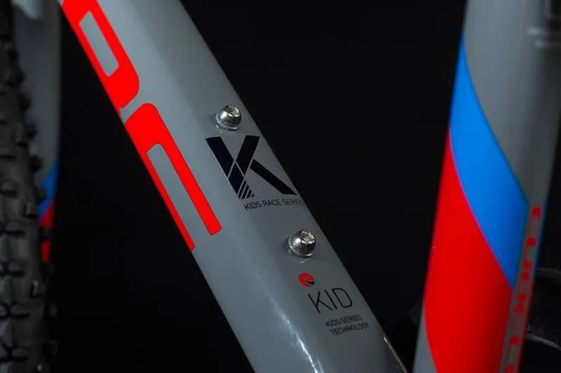 Cube Kid 200 20inch Kids Bike 2019 Action Team Grey-2