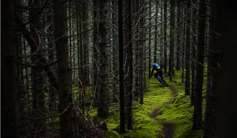 Rocky Mountain Altitude C70 Mountain Bike 2019 Indigo/Blue-2