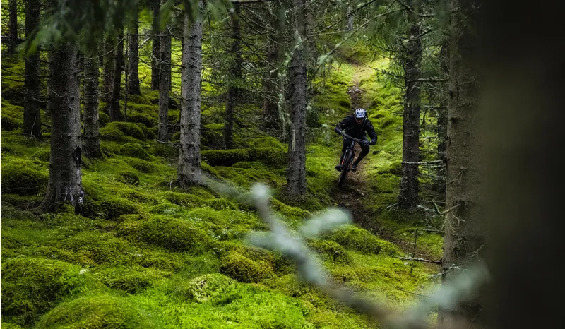 Rocky Mountain Altitude C70 Mountain Bike 2019 Indigo/Blue-3