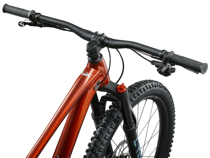 Giant Faith Copper Full-Suspension Kids Mountain Bike -4