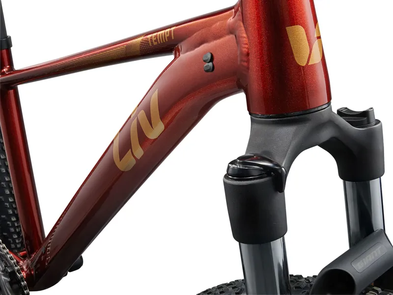 Liv Tempt 2 Hardtail Mountain Bike 2025 Mars Dust/Black-2