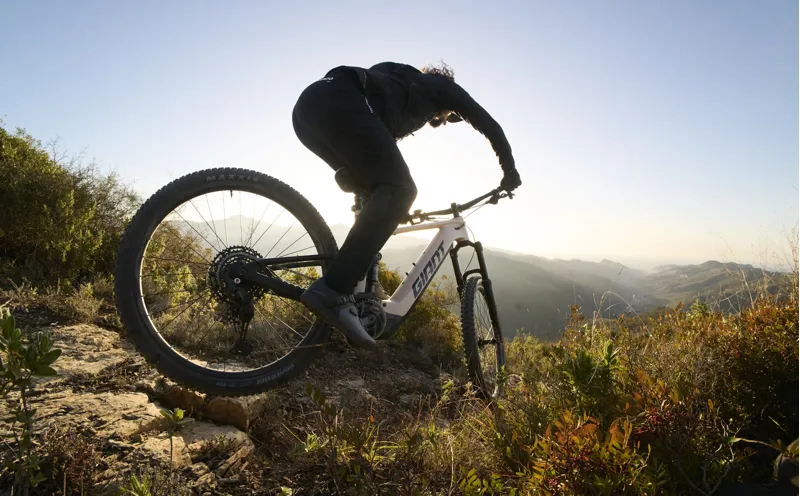 Giant Stance E+ 1 Electric Mountsian Bike 2027 Almond/ Black-8